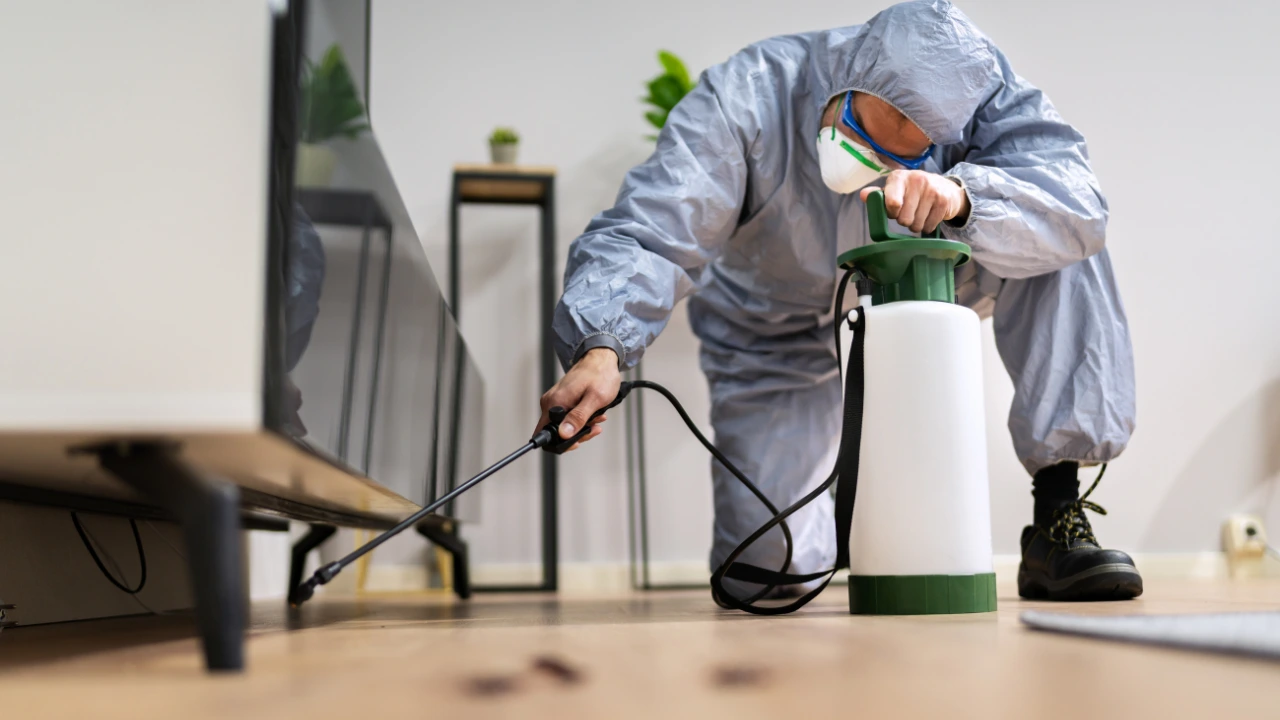Pest Control Service